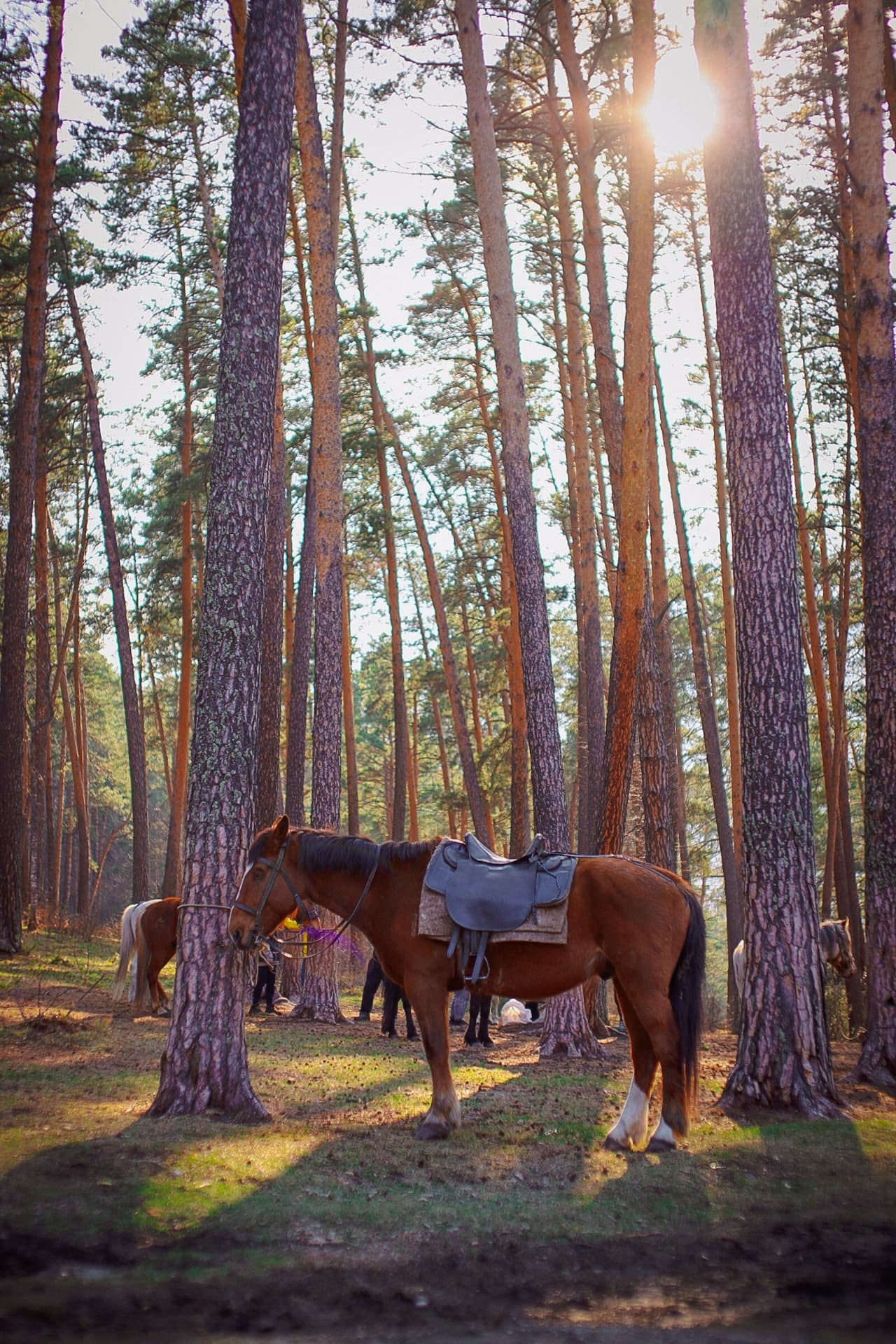 Фотографии с тура