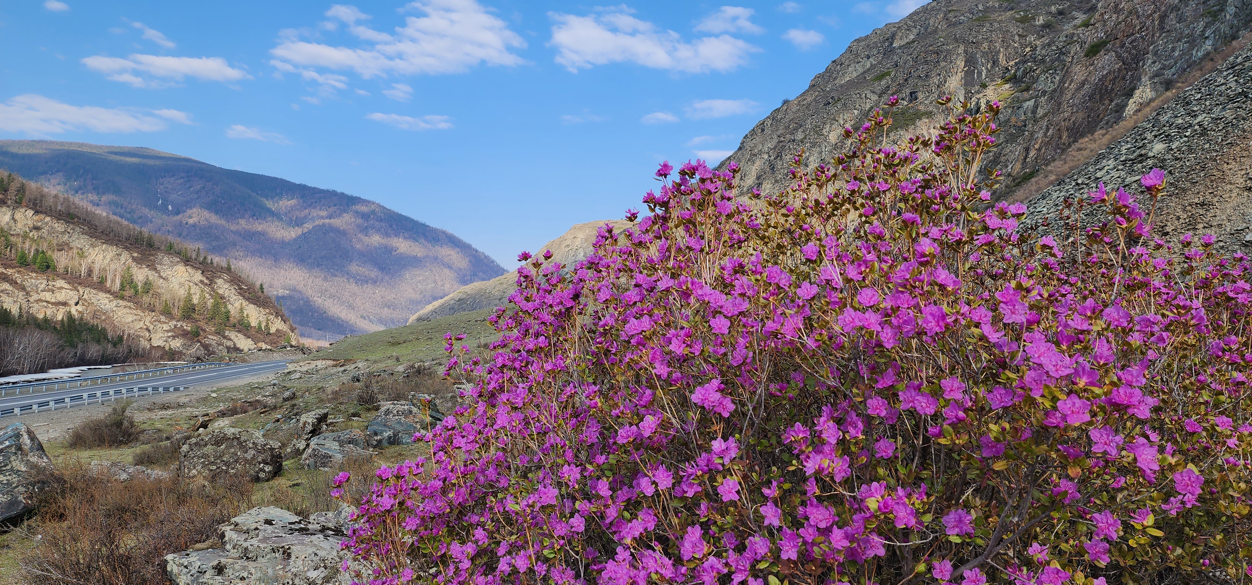 Фотографии с тура