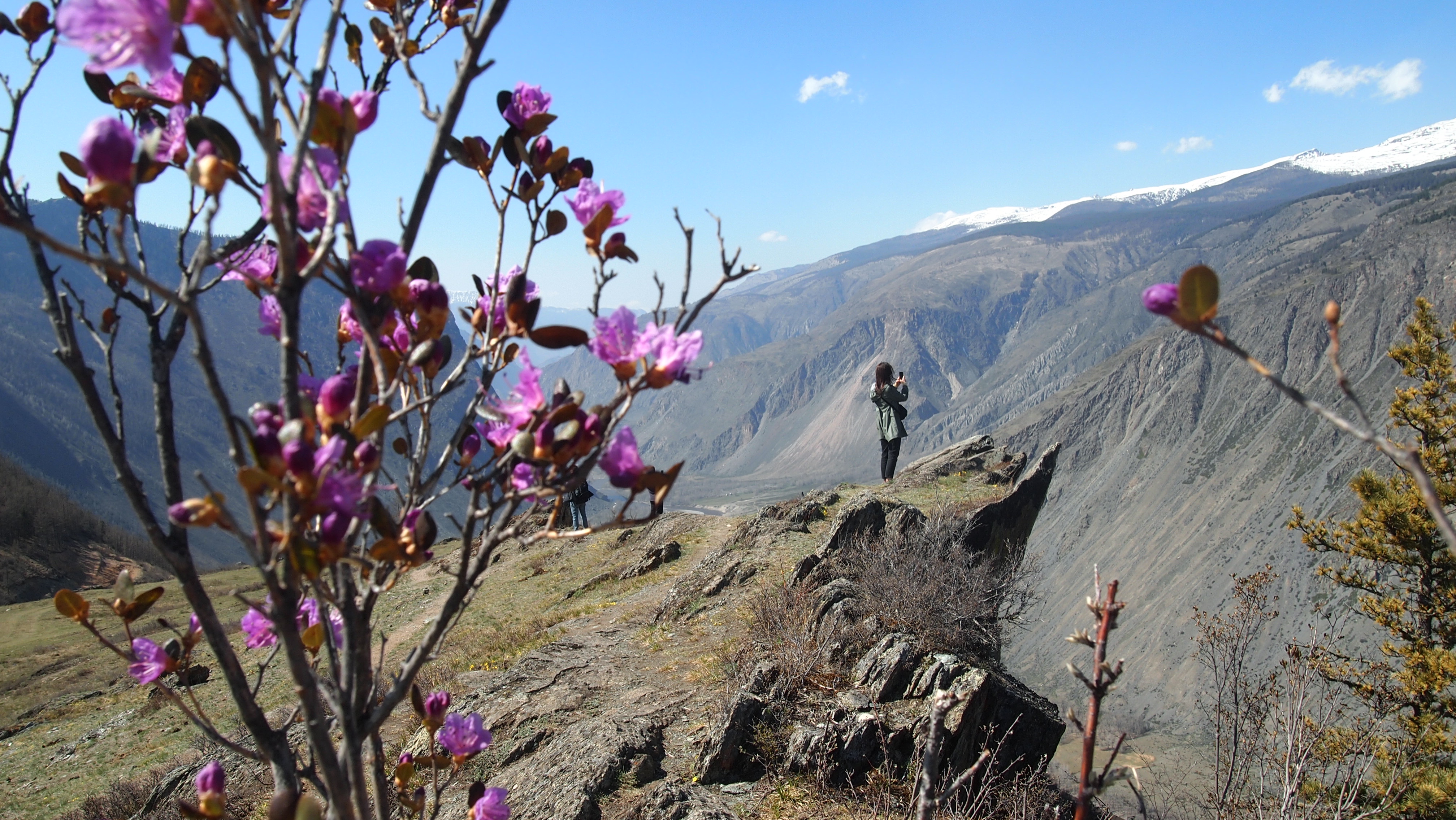 Фотографии с тура