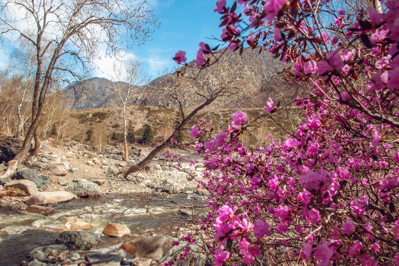 Фотографии с тура