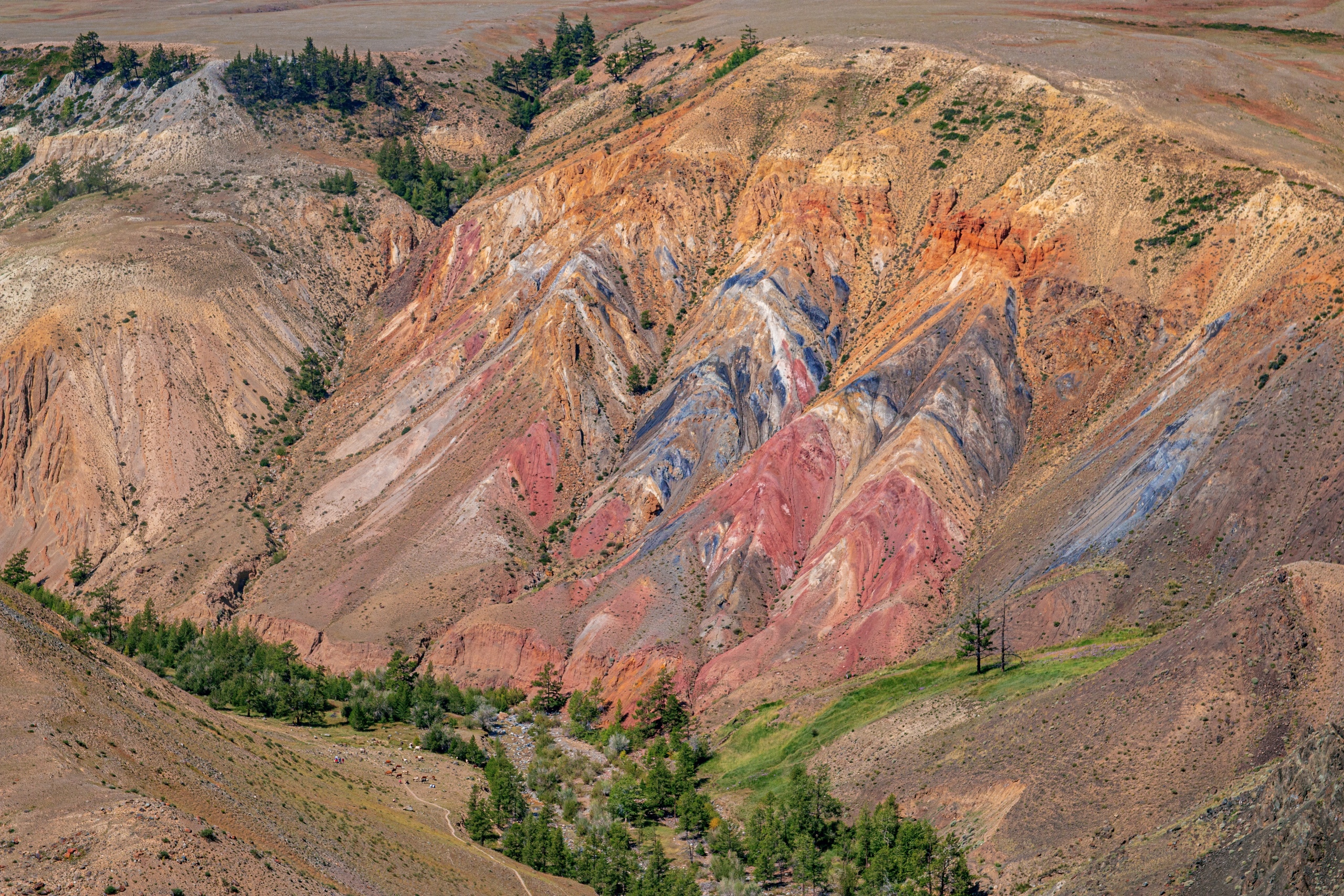 Фотографии с тура