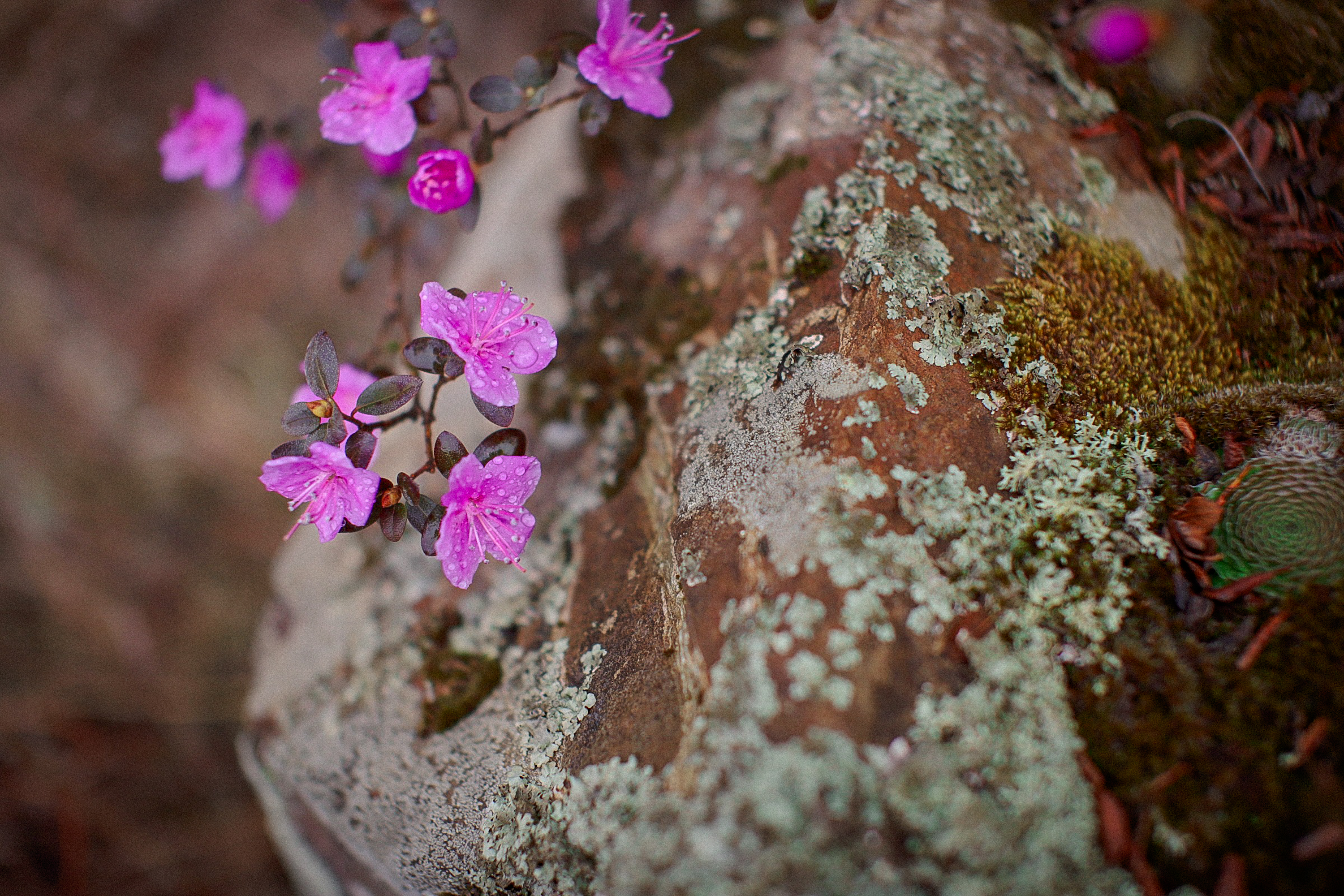 Фотографии с тура