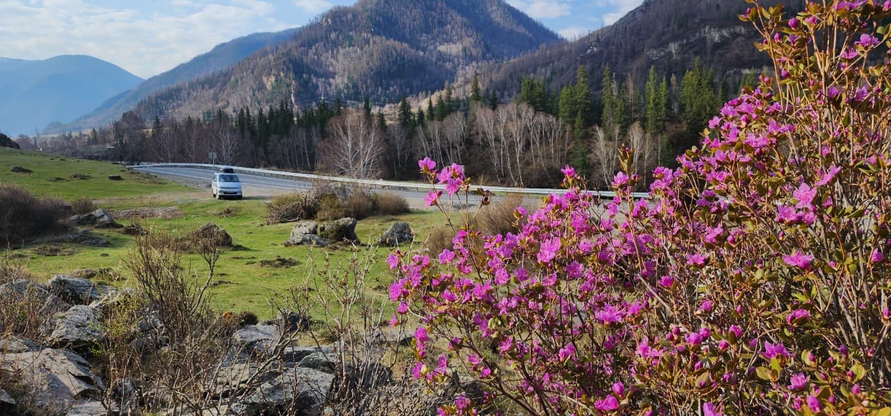 Фотографии с тура