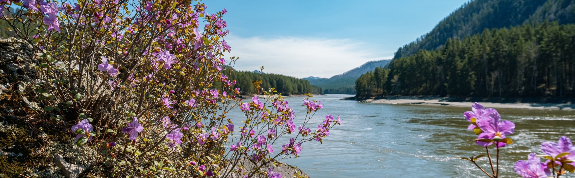 Автотур «Цветение маральника» (3 дня)